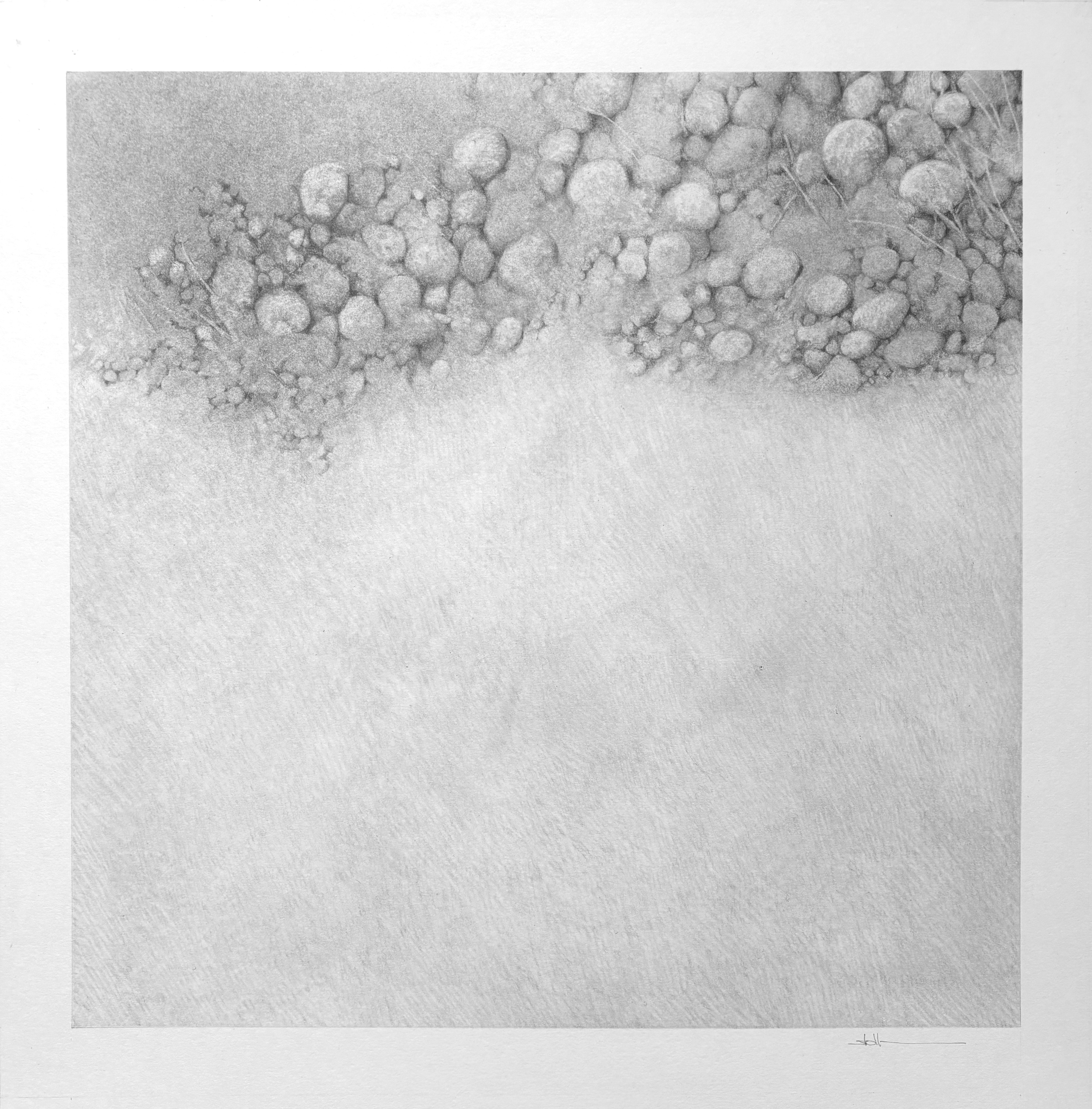 Randerscheinung IV, 2026 - Bleistift
