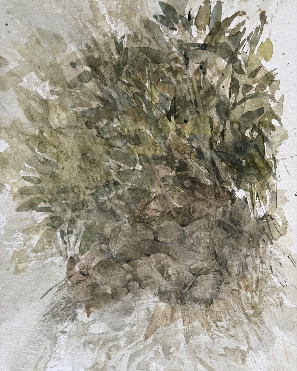 Tabula rasa, 2024 - Aquarell, Bleistift