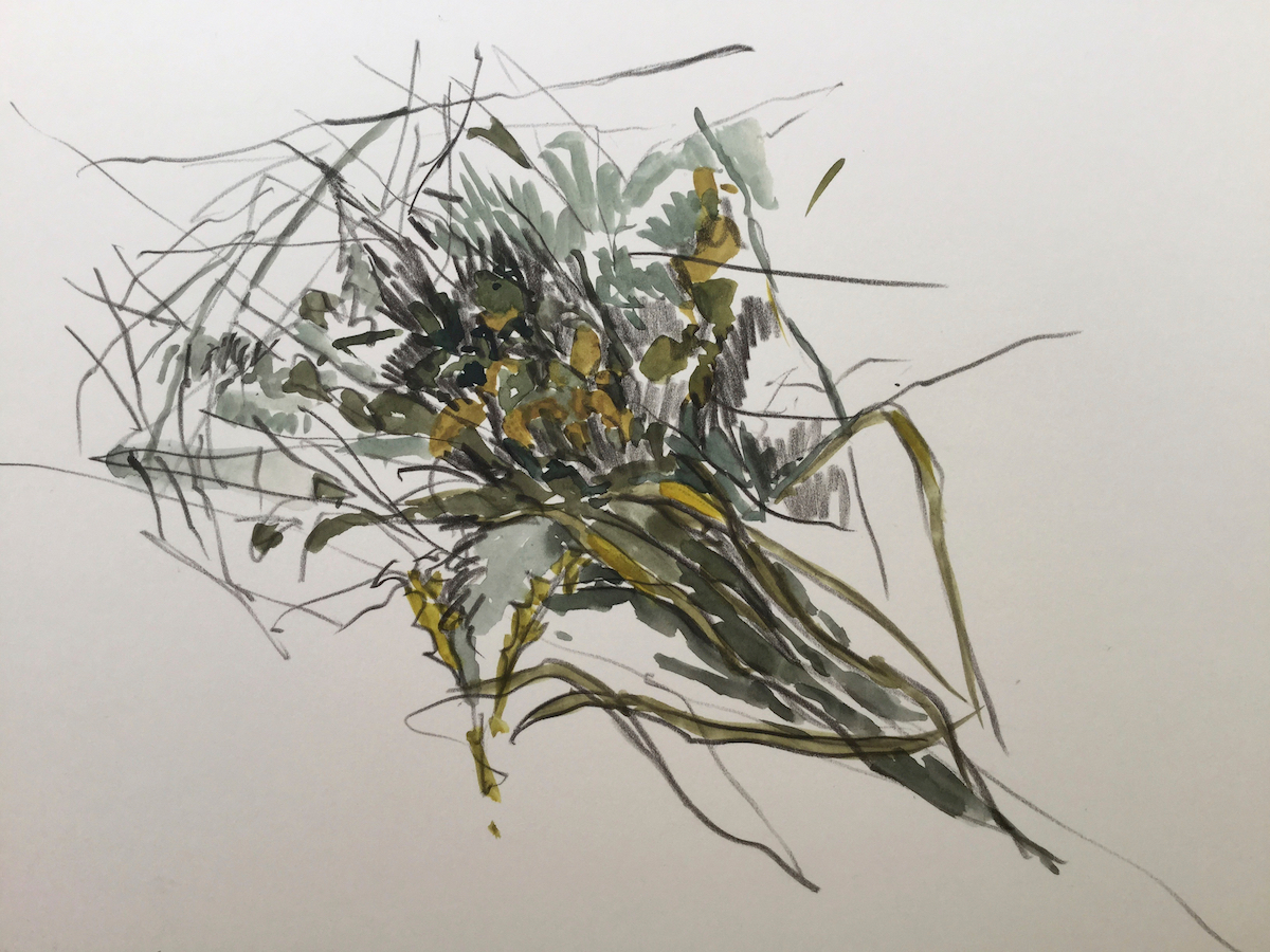 Am Wegesrand, 2017 - Bleistift, Aquarell