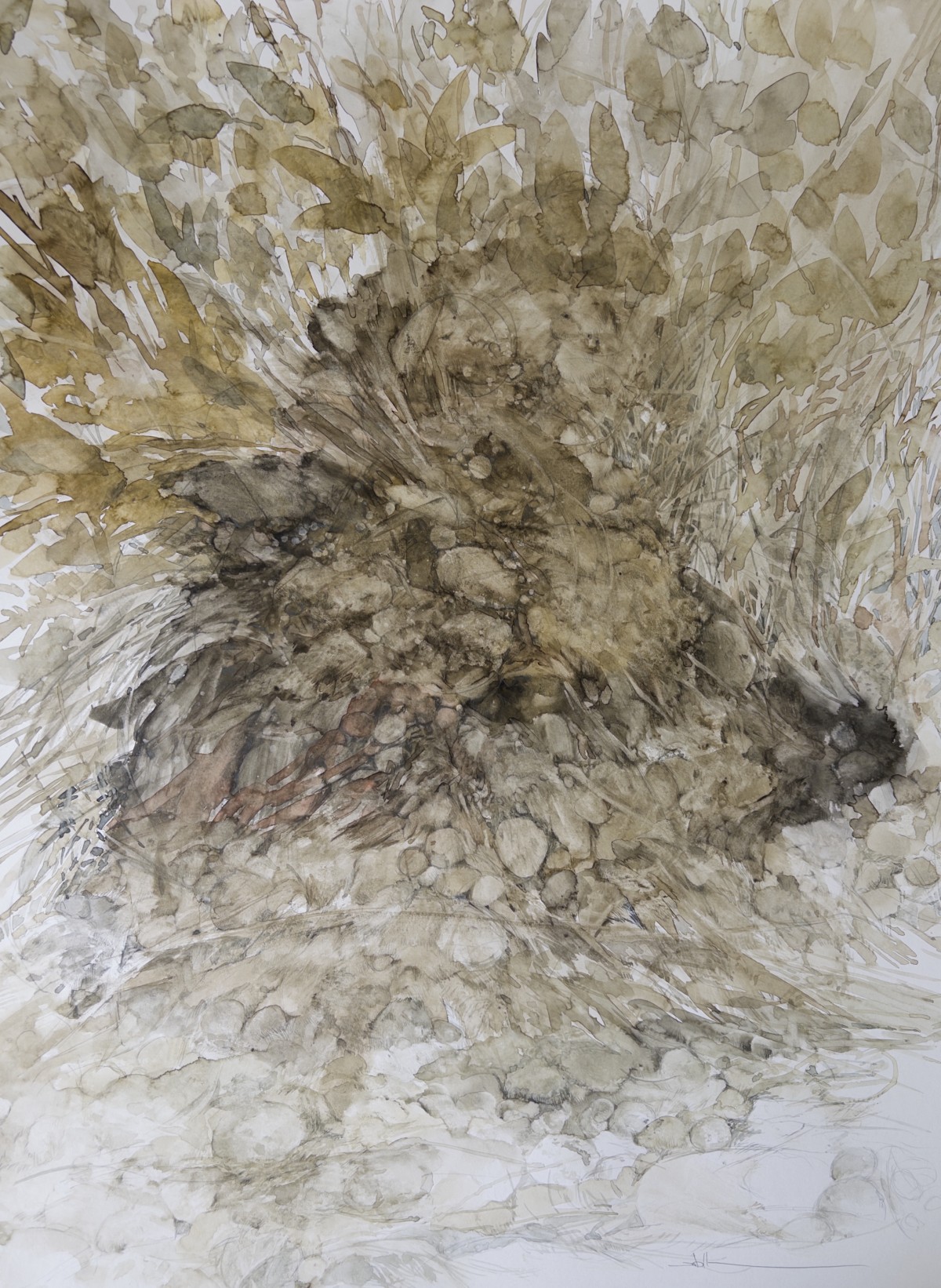 Nephrolith, 2025 - Aquarell, Bleistift