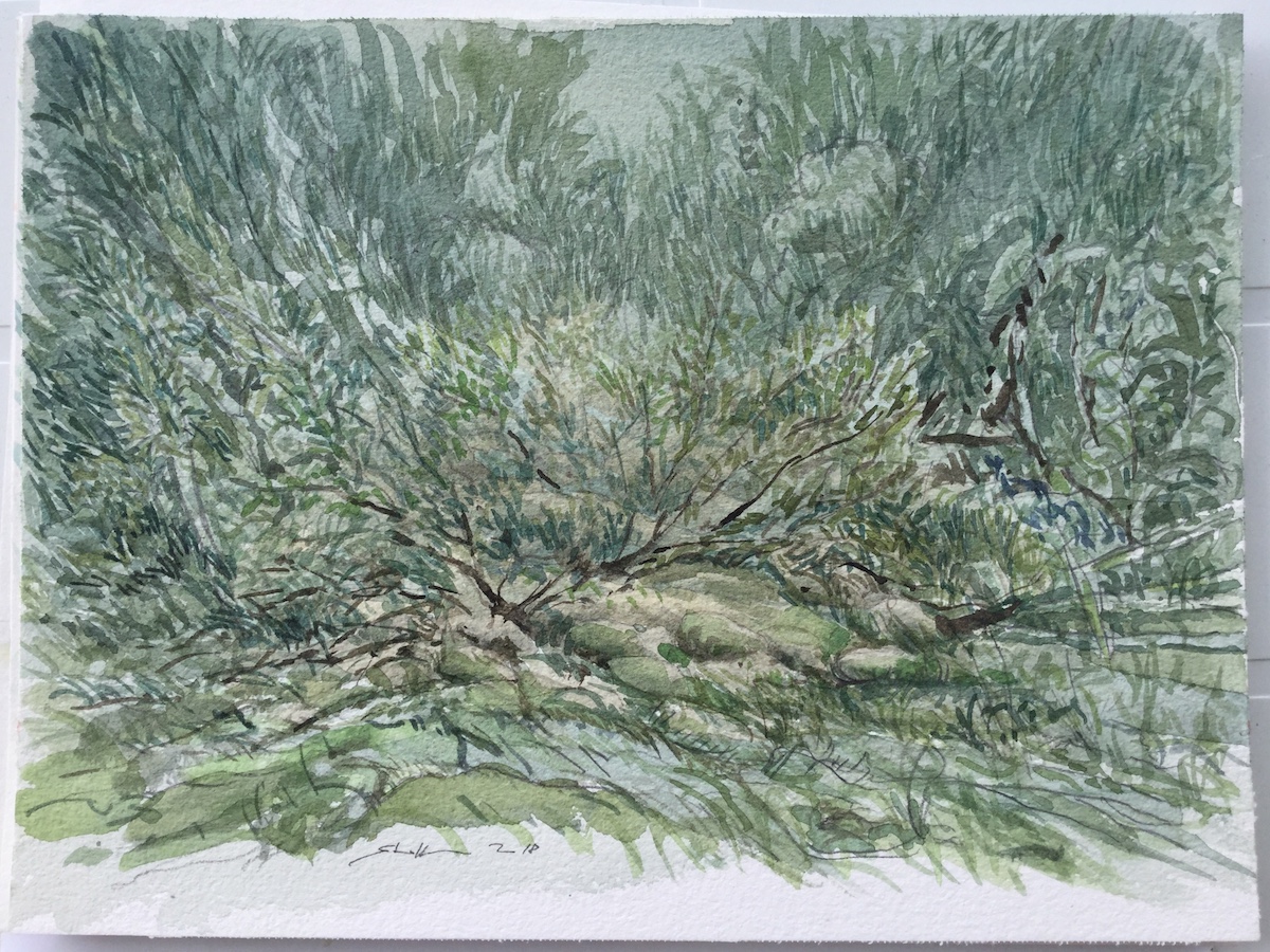 Am Wegesrand, 2018 - Bleistift, Aquarell