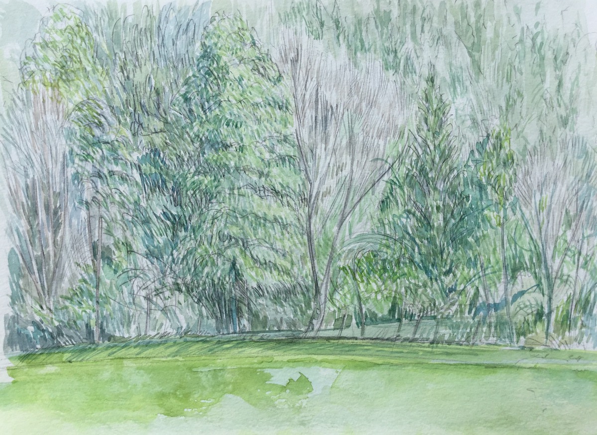Seewiesen, 2018 - Bleistift, Aquarell