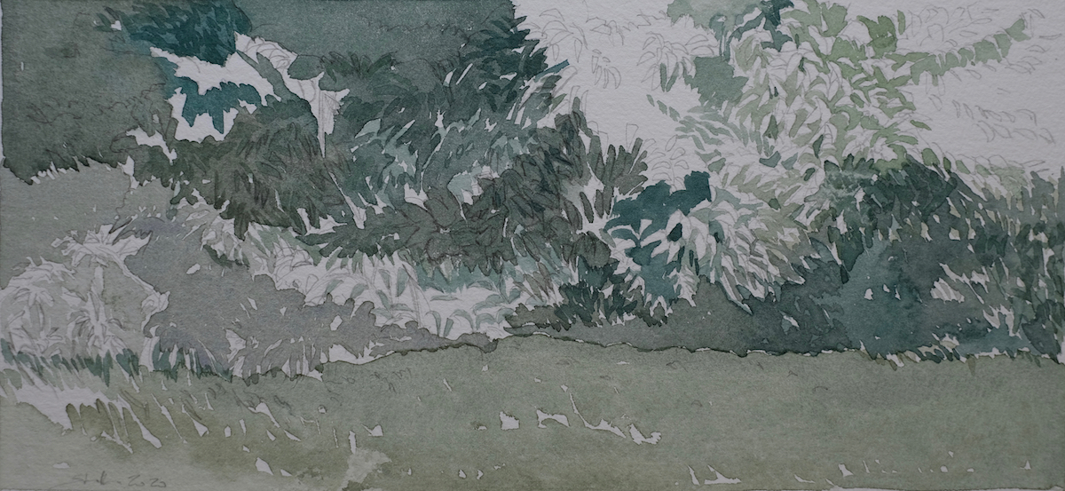 Waldrand bei Kaltenleutgeben, 2020 - Bleistift, Aquarell