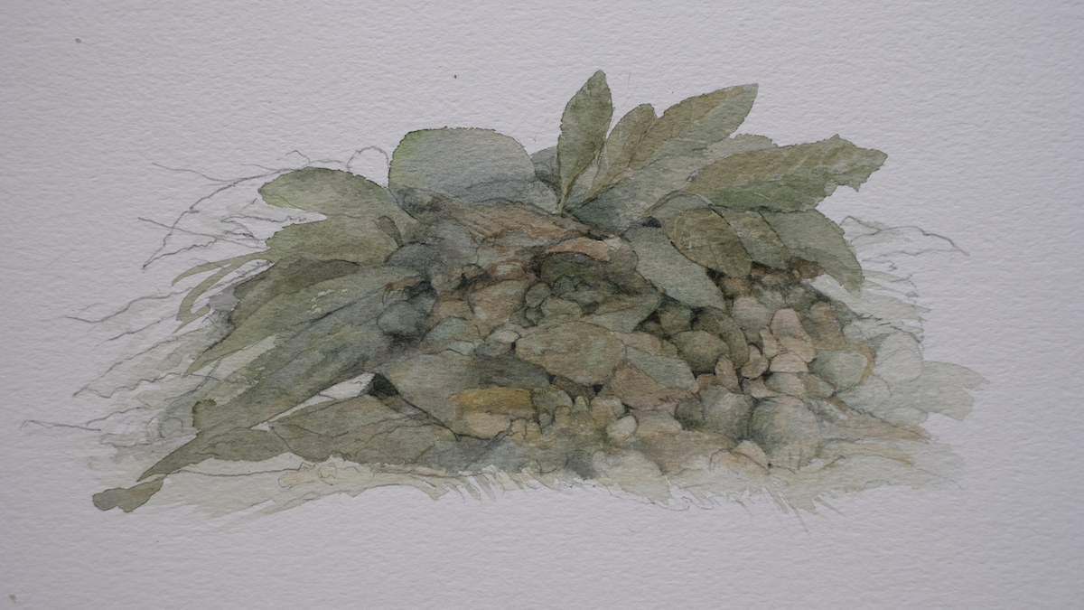 Herbstnest II, 2020 - Aquarell, Bleistift