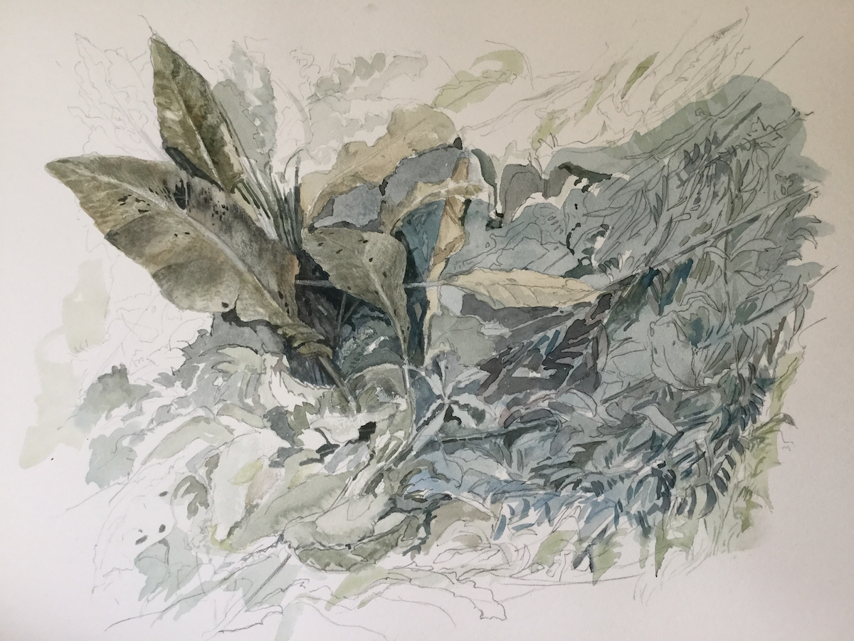 Am Wegesrand, 2018 - Bleistift, Aquarell