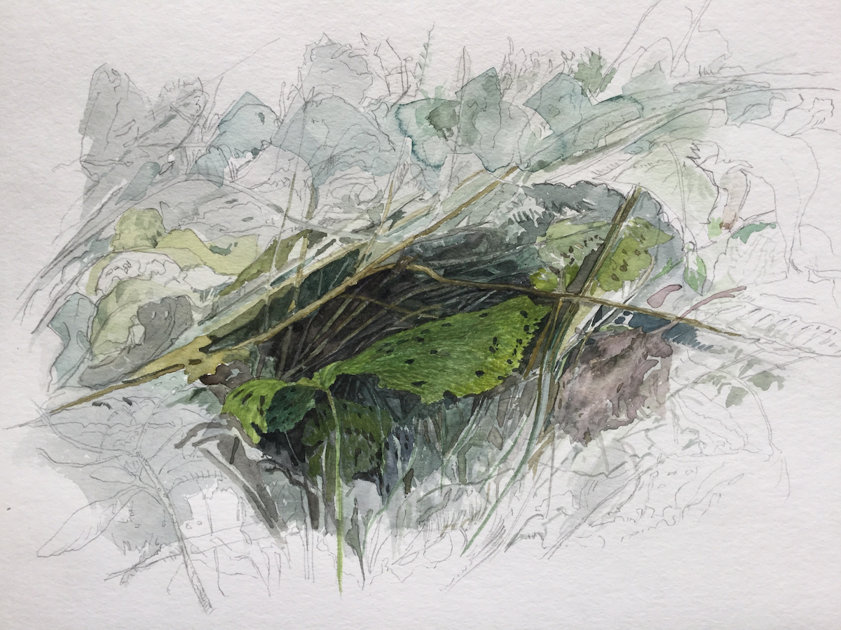 Am Wegesrand, 2018 - Bleistift, Aquarell
