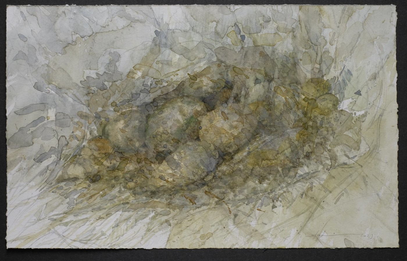 Fasanennest, vermutlich, 2023 - Aquarell