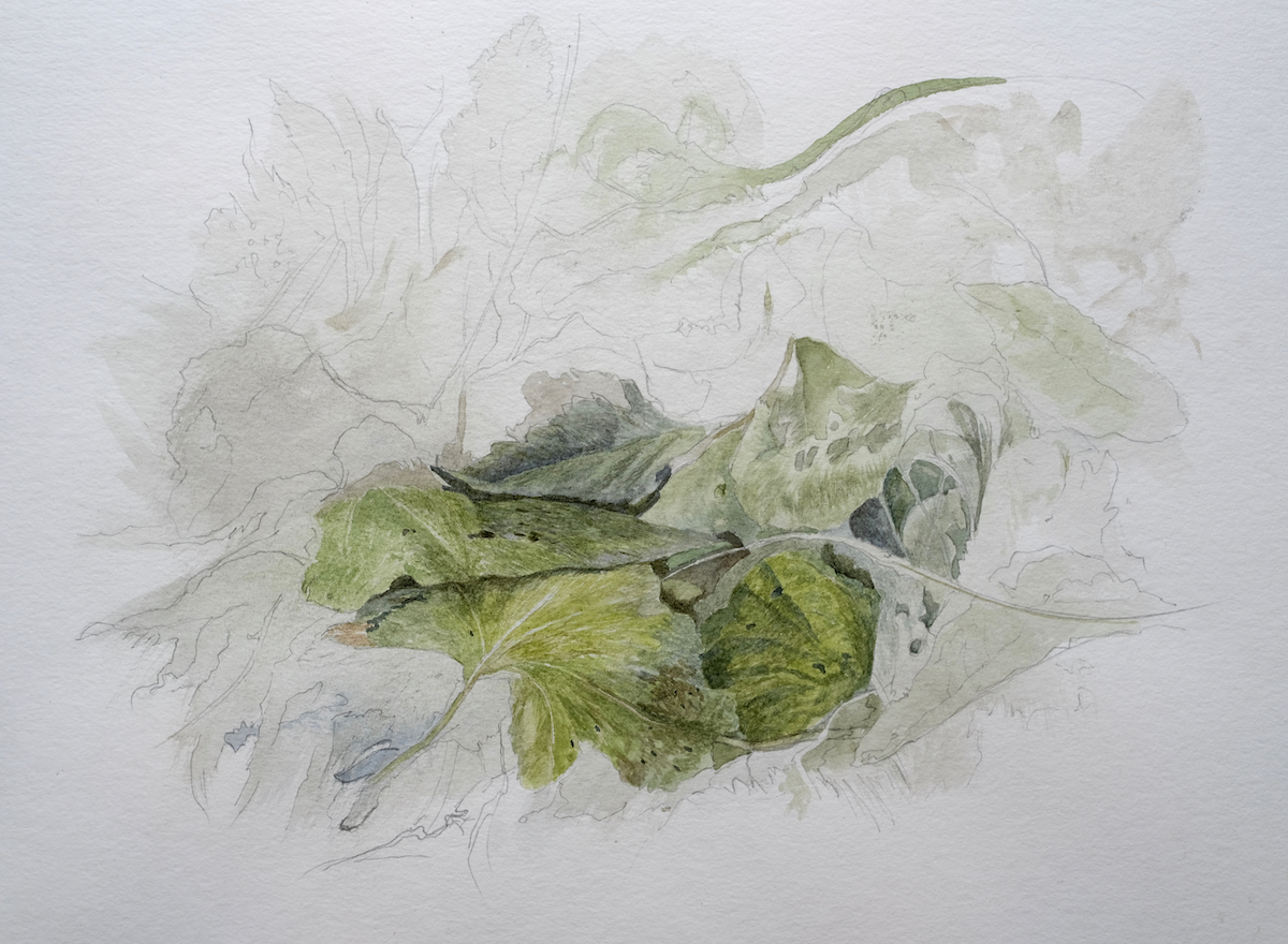 Am Wegesrand, 2018 - Bleistift, Aquarell