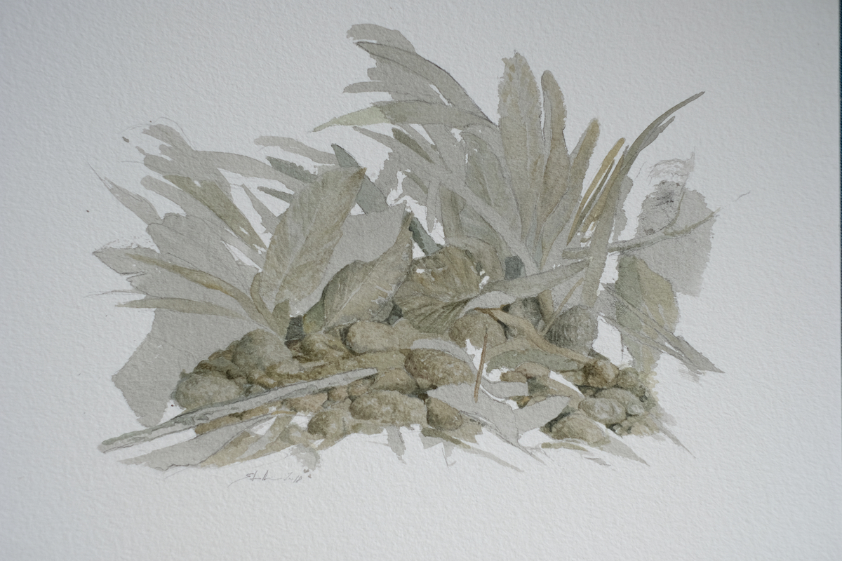 Am Wegesrand, 2018 - Bleistift, Aquarell