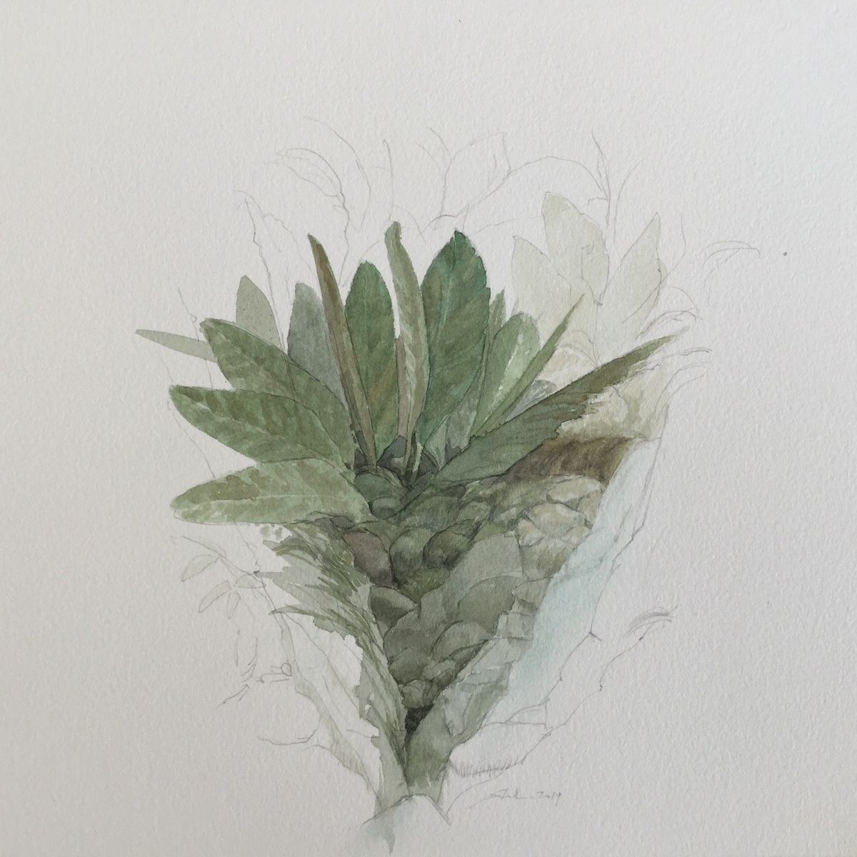 Am Wegesrand, 2019 - Bleistift, Aquarell