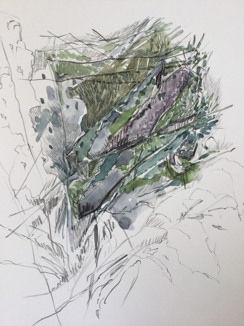 Am Wegesrand, 2017 - Bleistift, Aquarell