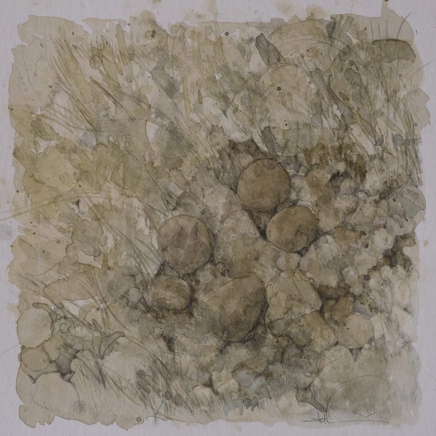 Ruhende Steine II, 2025 - Aquarell, Bleistift