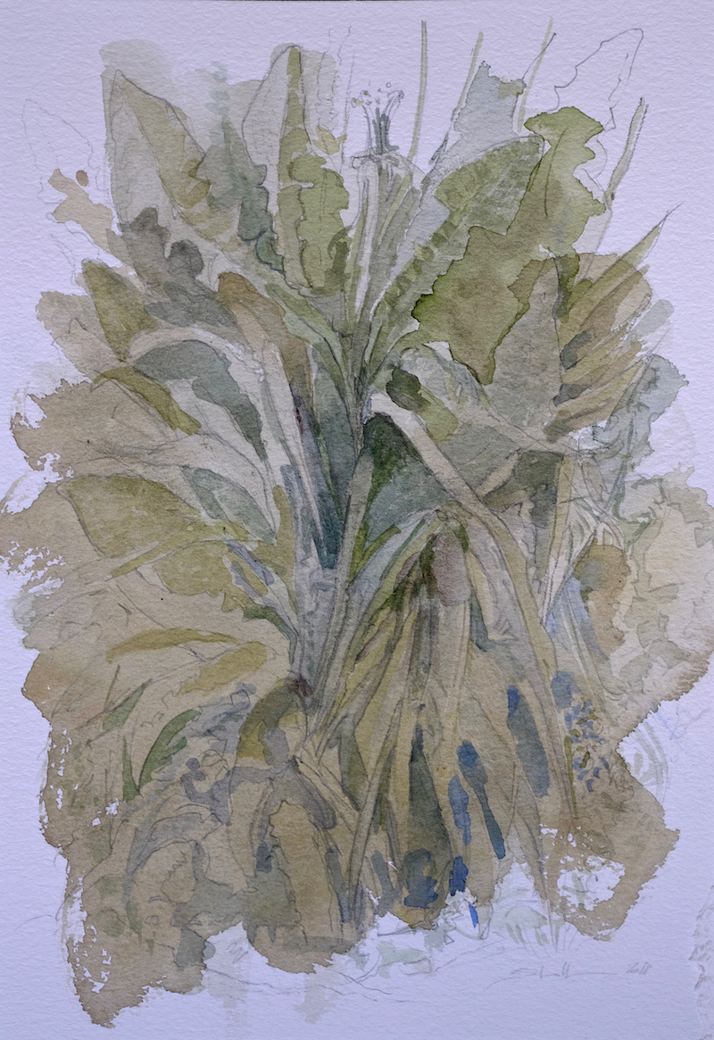 Am Wegesrand, 2018 - Bleistift, Aquarell