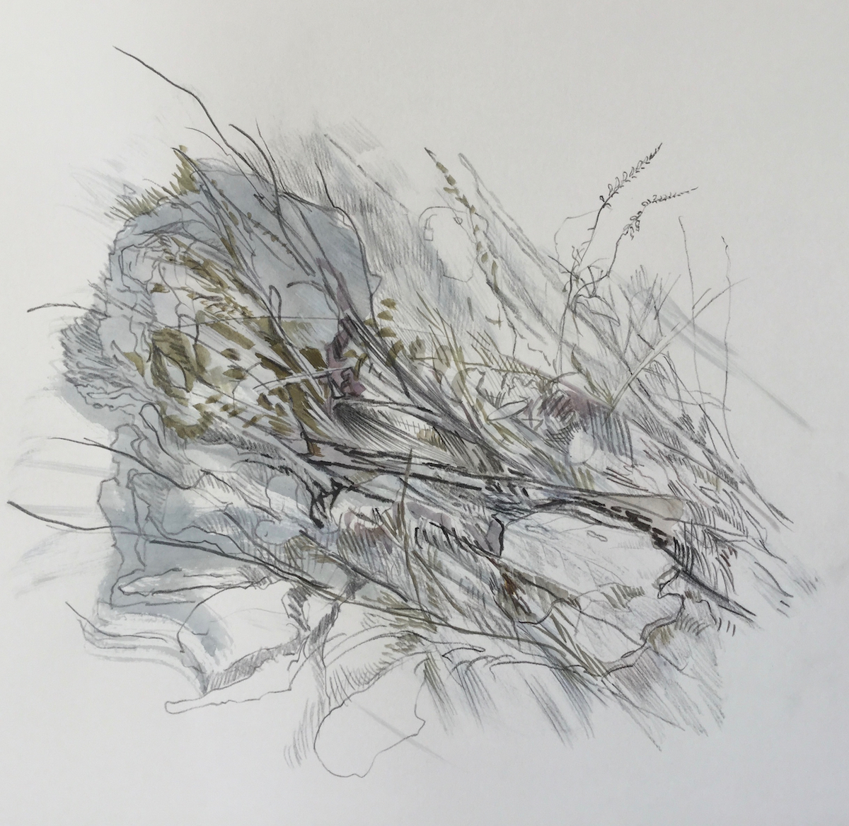 Am Wegesrand, 2017 - Bleistift, Aquarell