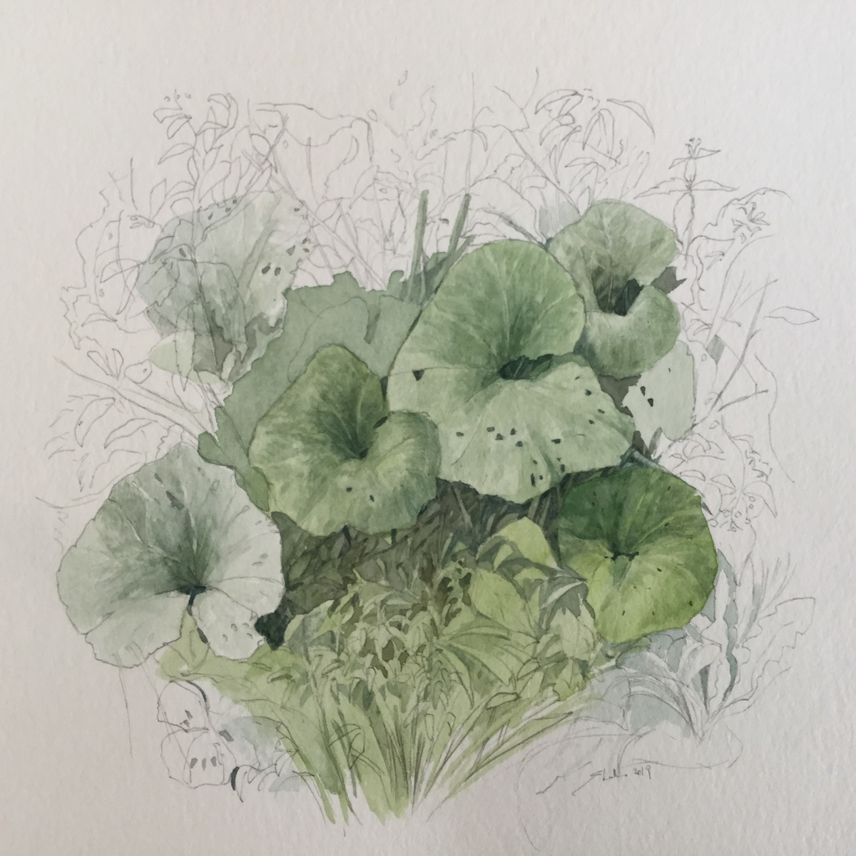 Bachufer, 2019 - Bleistift, Aquarell