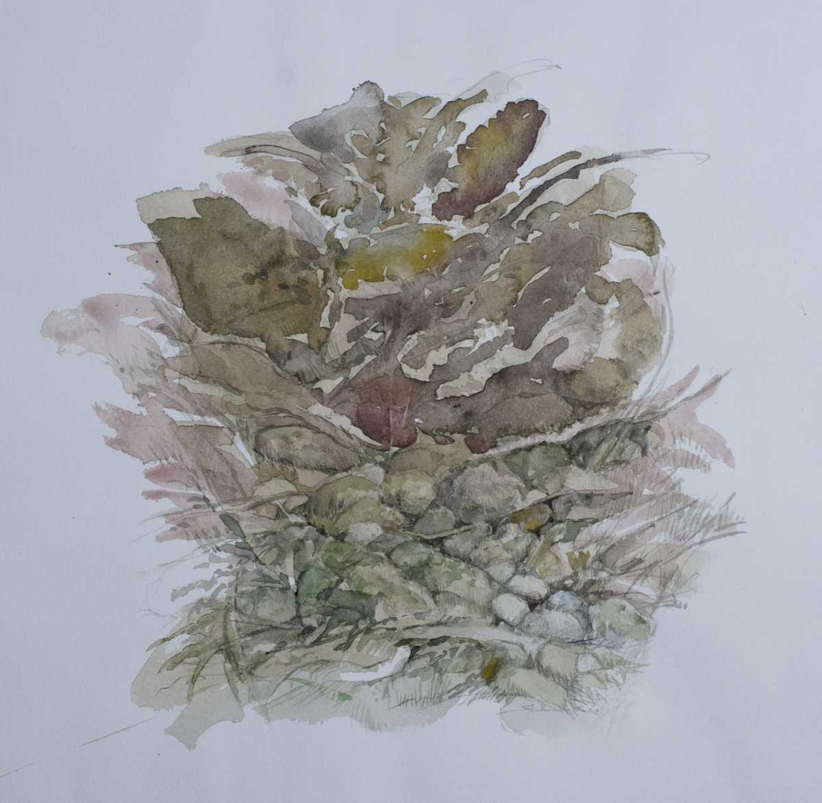 Grenzland, 2022 - Bleistift, Aquarell