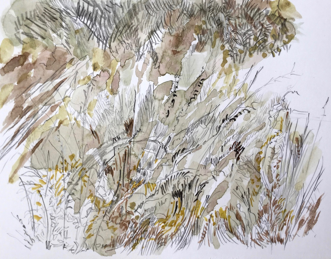 Am Wegesrand, 2017 - Bleistift, Aquarell