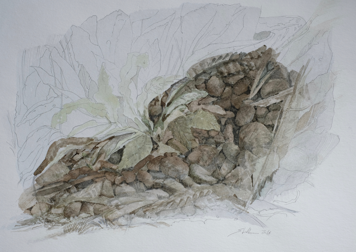 Am Wegesrand, 2018 - Bleistift, Aquarell