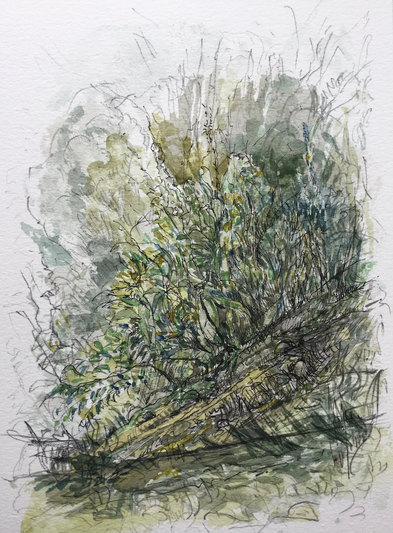Am Wegesrand, 2018 - Bleistift, Aquarell
