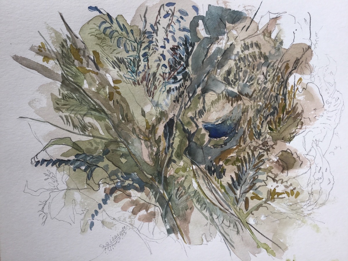 Am Wegesrand, 2017 - Bleistift, Aquarell