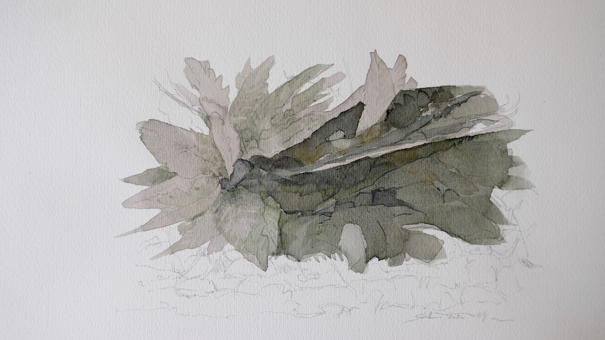 Herbstverrottung I, 2020 - Aquarell, Bleistift