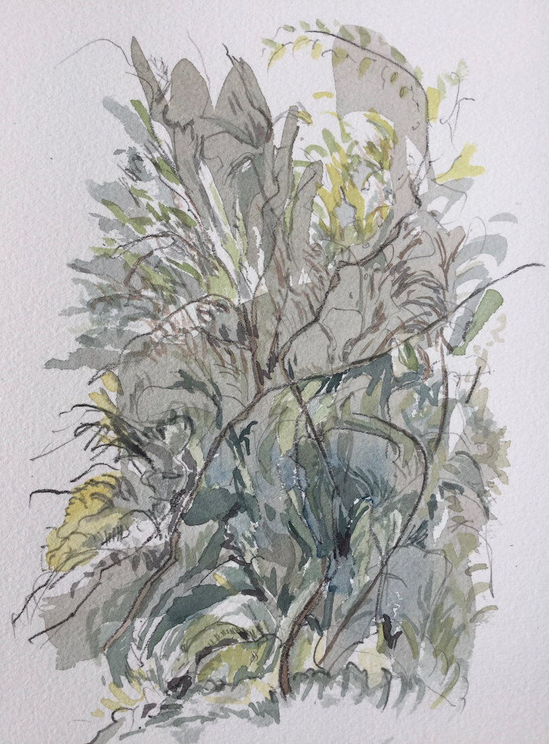 Am Wegesrand, 2018 - Bleistift, Aquarell