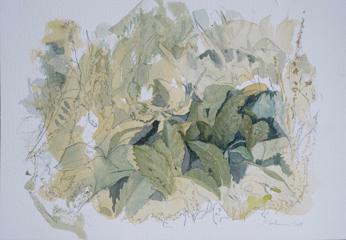 Am Wegesrand, 2018 - Bleistift, Aquarell