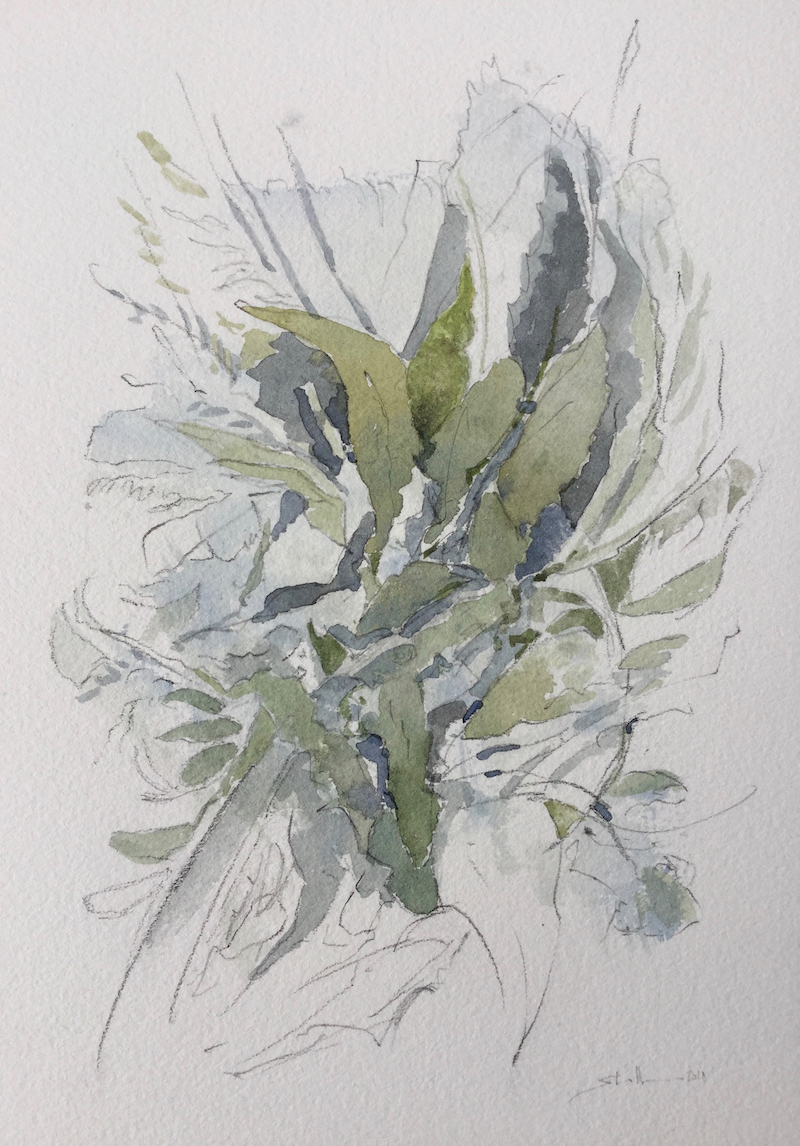 Am Wegesrand, 2018 - Bleistift, Aquarell
