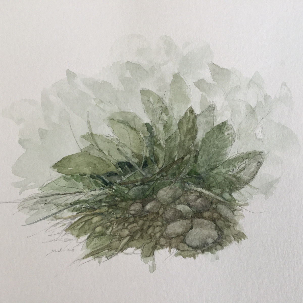Am Wegesrand, 2019 - Bleistift, Aquarell