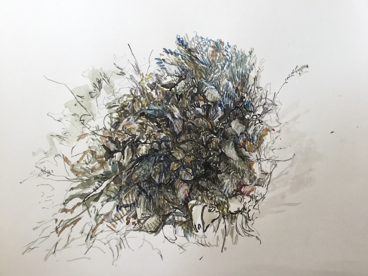 Am Wegesrand, 2017 - Bleistift, Aquarell