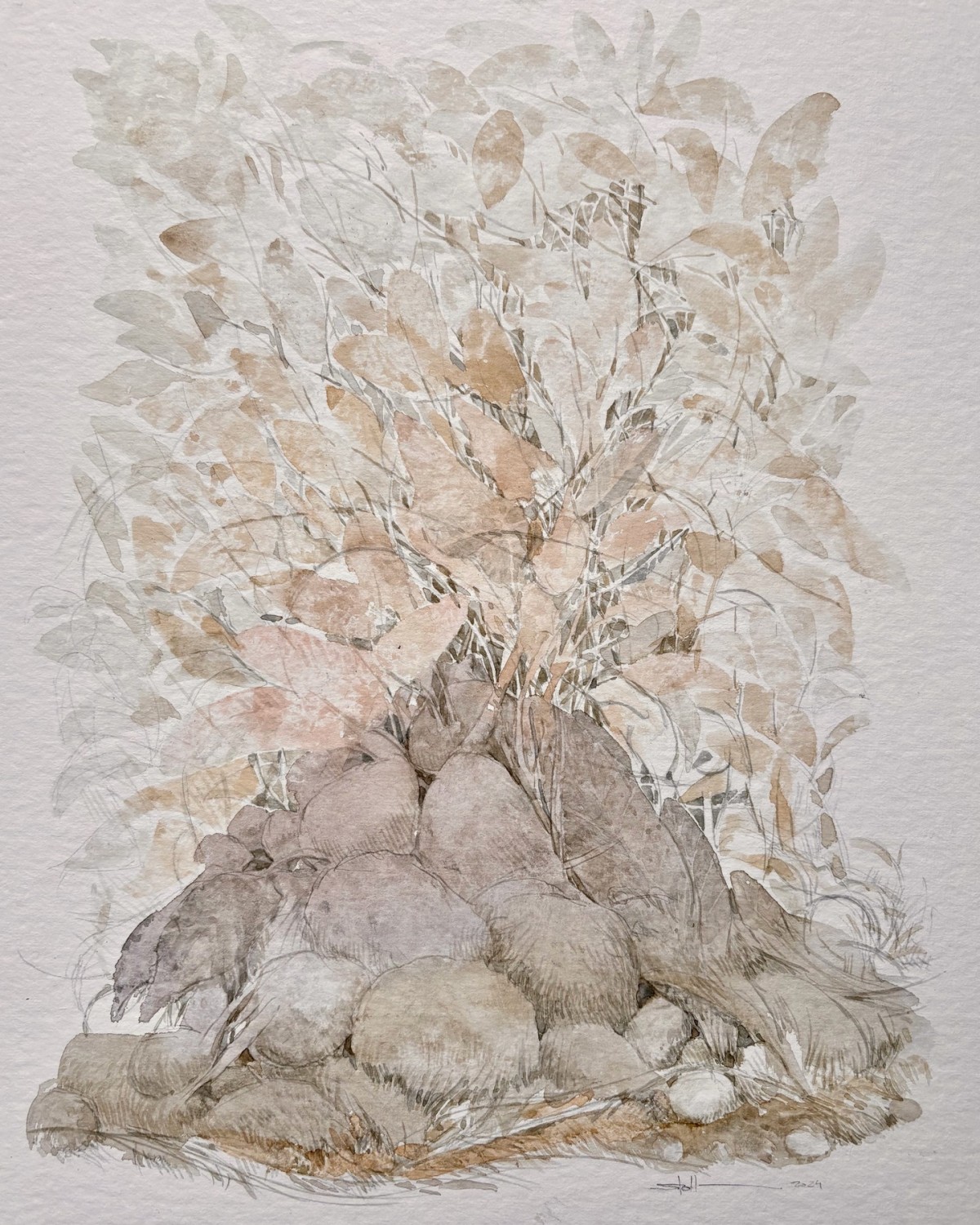 Feuchtgebiet, 2024 - Aquarell, Bleistift