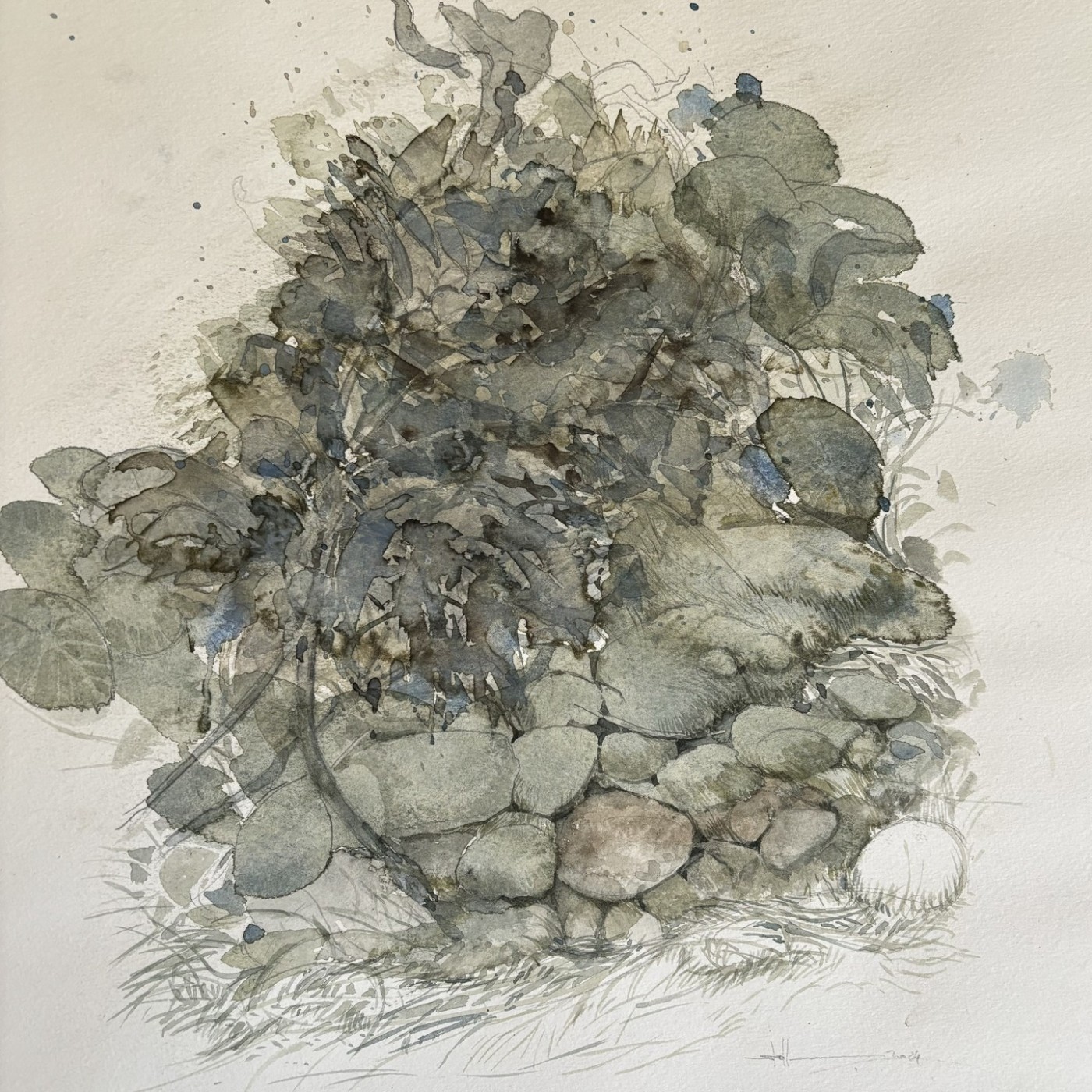 Eine andere Art von Geduld, 2024 - Aquarell, Bleistift