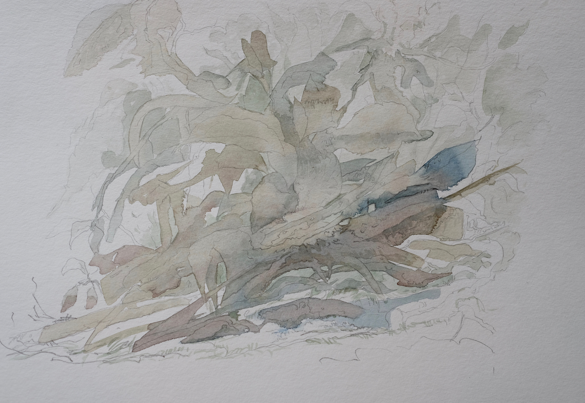 Am Wegesrand, 2018 - Bleistift, Aquarell