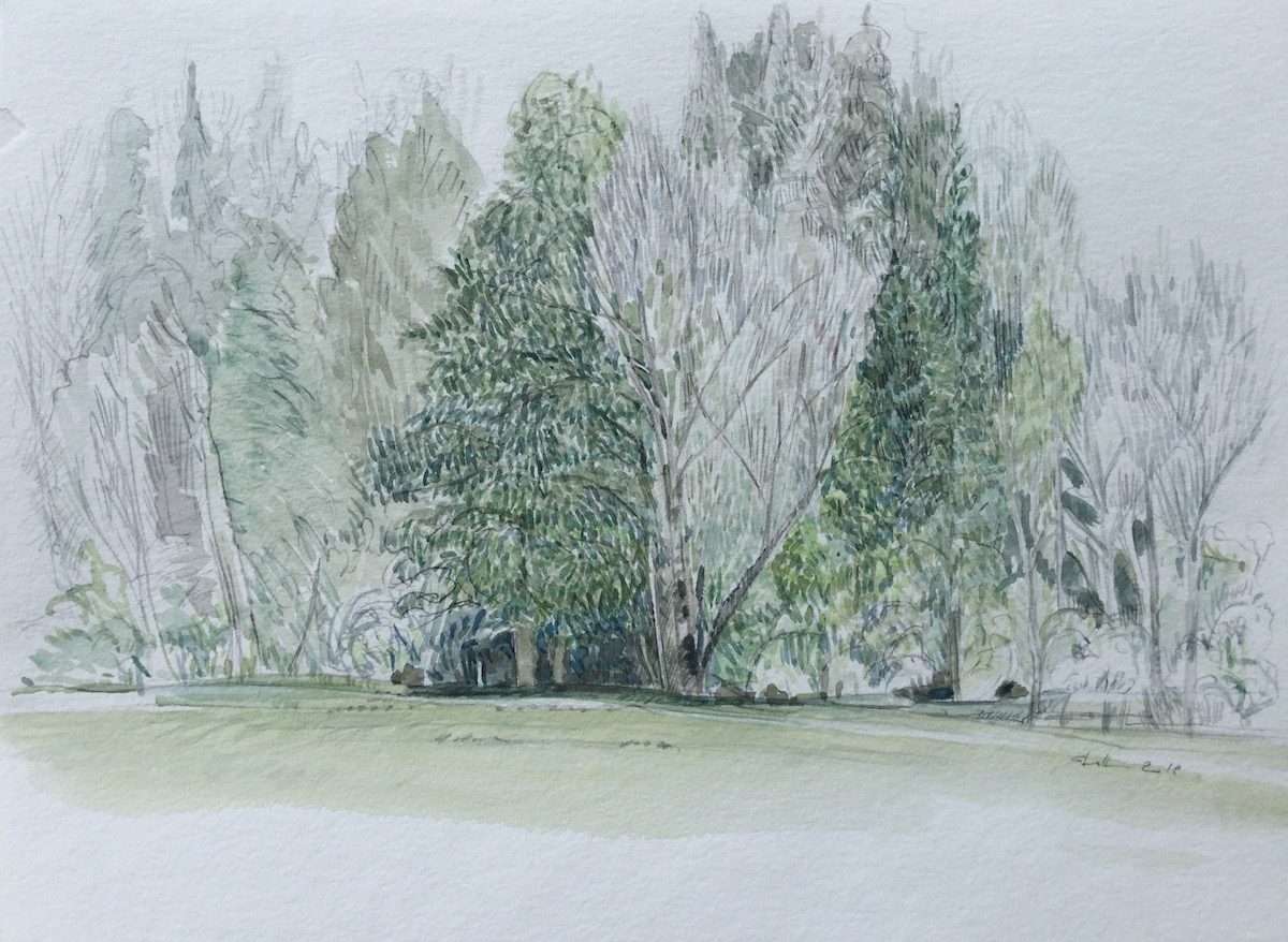 Seewiesen, 2018 - Bleistift, Aquarell