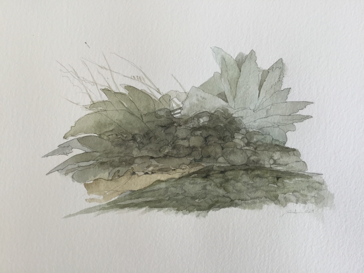 Am Wegesrand, 2019 - Bleistift, Aquarell