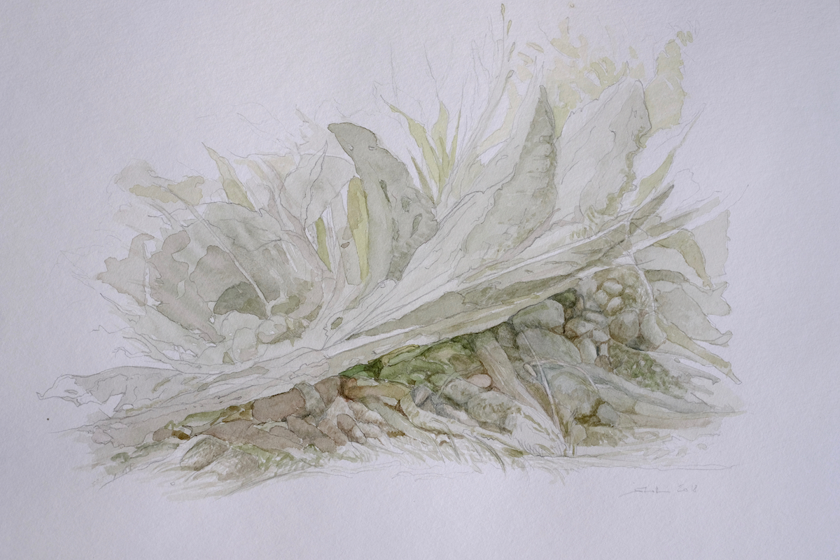 Am Wegesrand, 2018 - Bleistift, Aquarell