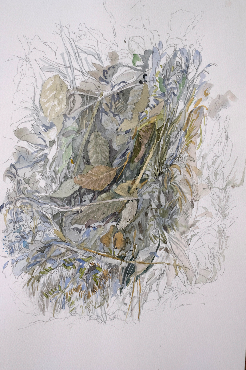 Wegesrandverrottung , 2018 - Bleistift, Aquarell