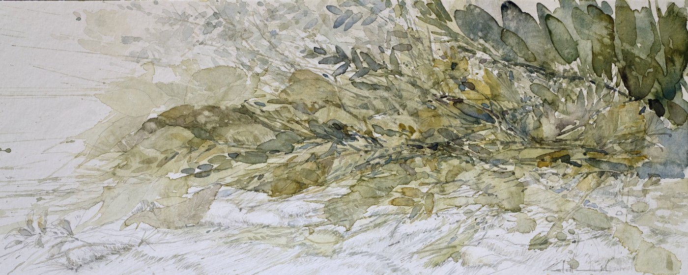 Nenne es, wie du willst, 2024 - Aquarell, Bleistift 