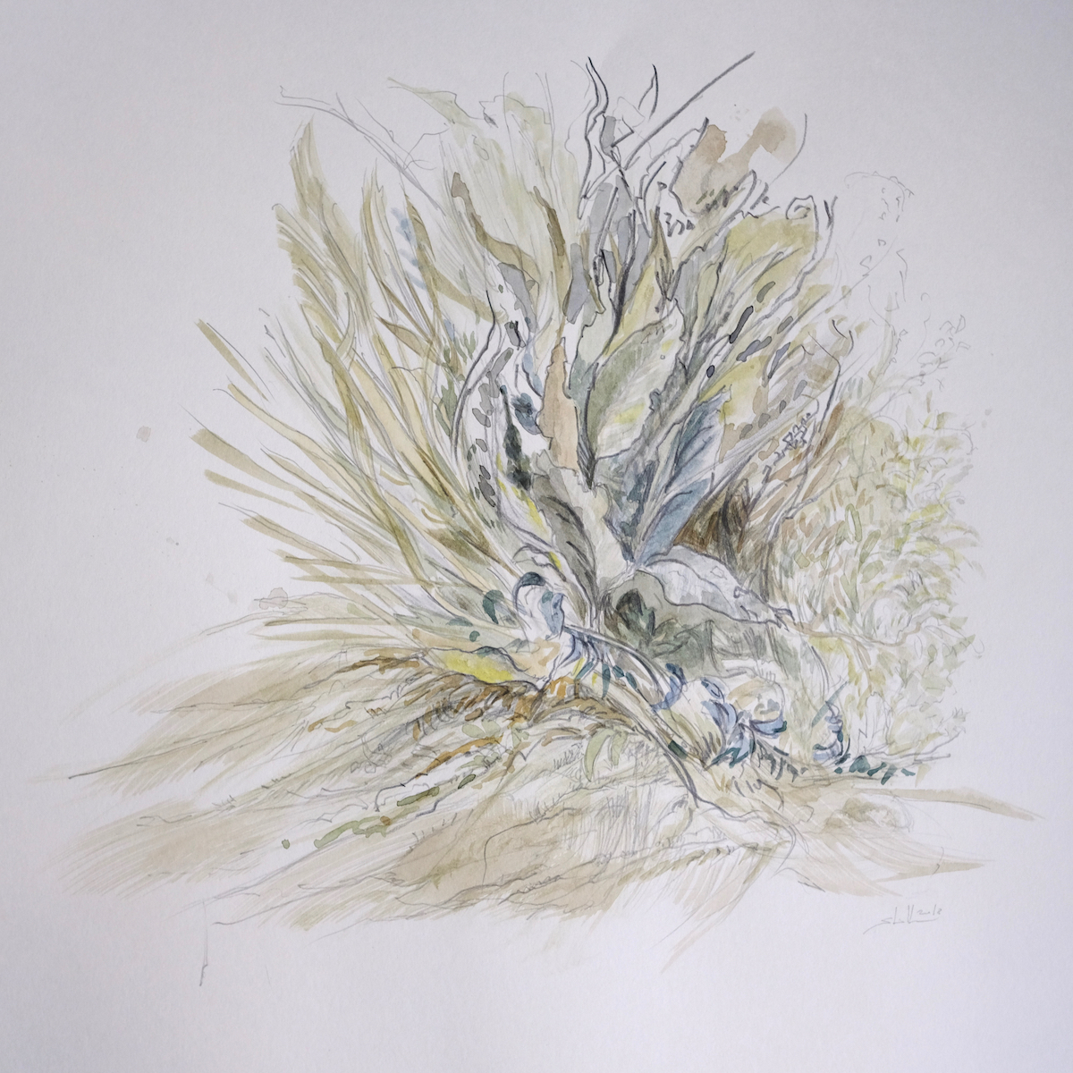 Am Wegesrand, 2018 - Bleistift, Aquarell
