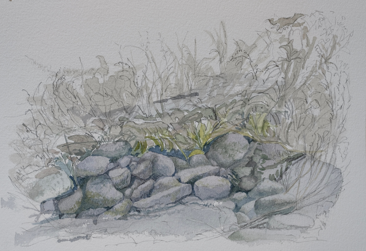 Am Wegesrand, 2018 - Bleistift, Aquarell