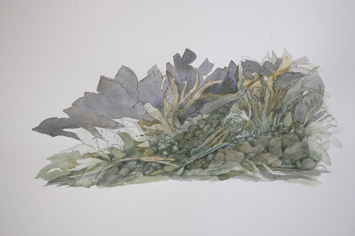 Vertrautes Land, 2020 - Aquarell, Bleistift