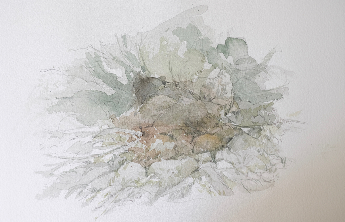 Trittfläche II, 2020 - Aquarell, Bleistift