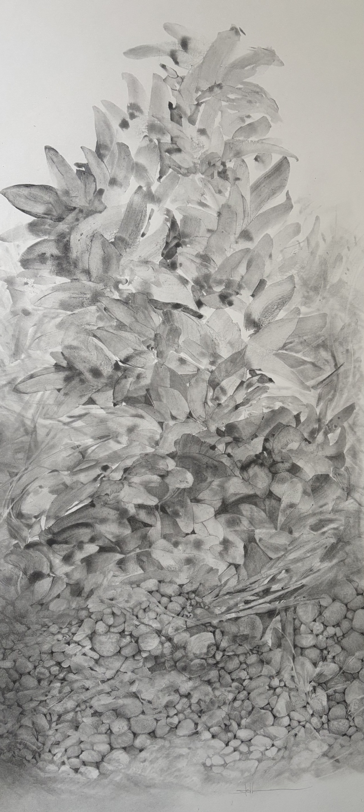 Neuunordnung, 2025 - Bleistift