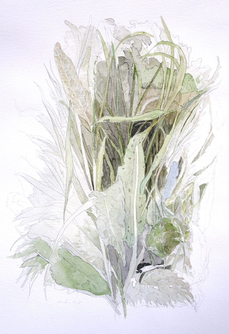 Am Wegesrand, 2018 - Bleistift, Aquarell