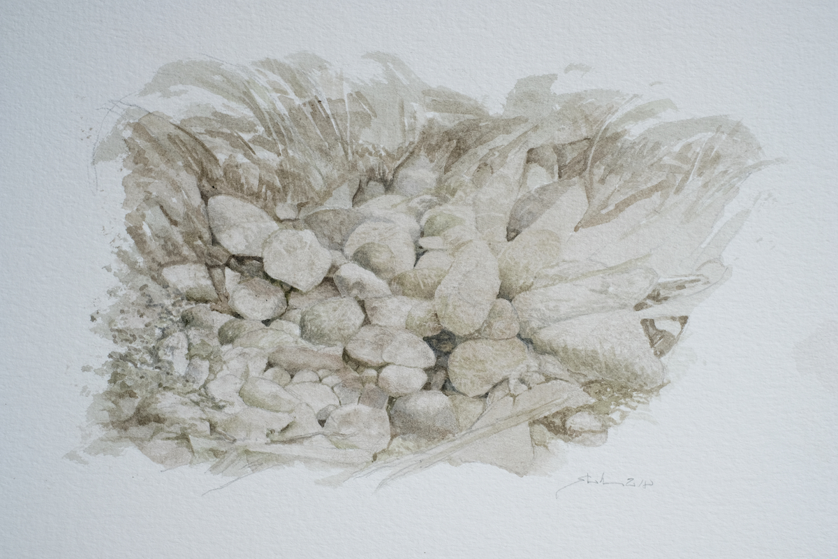 Am Wegesrand, 2018 - Bleistift, Aquarell