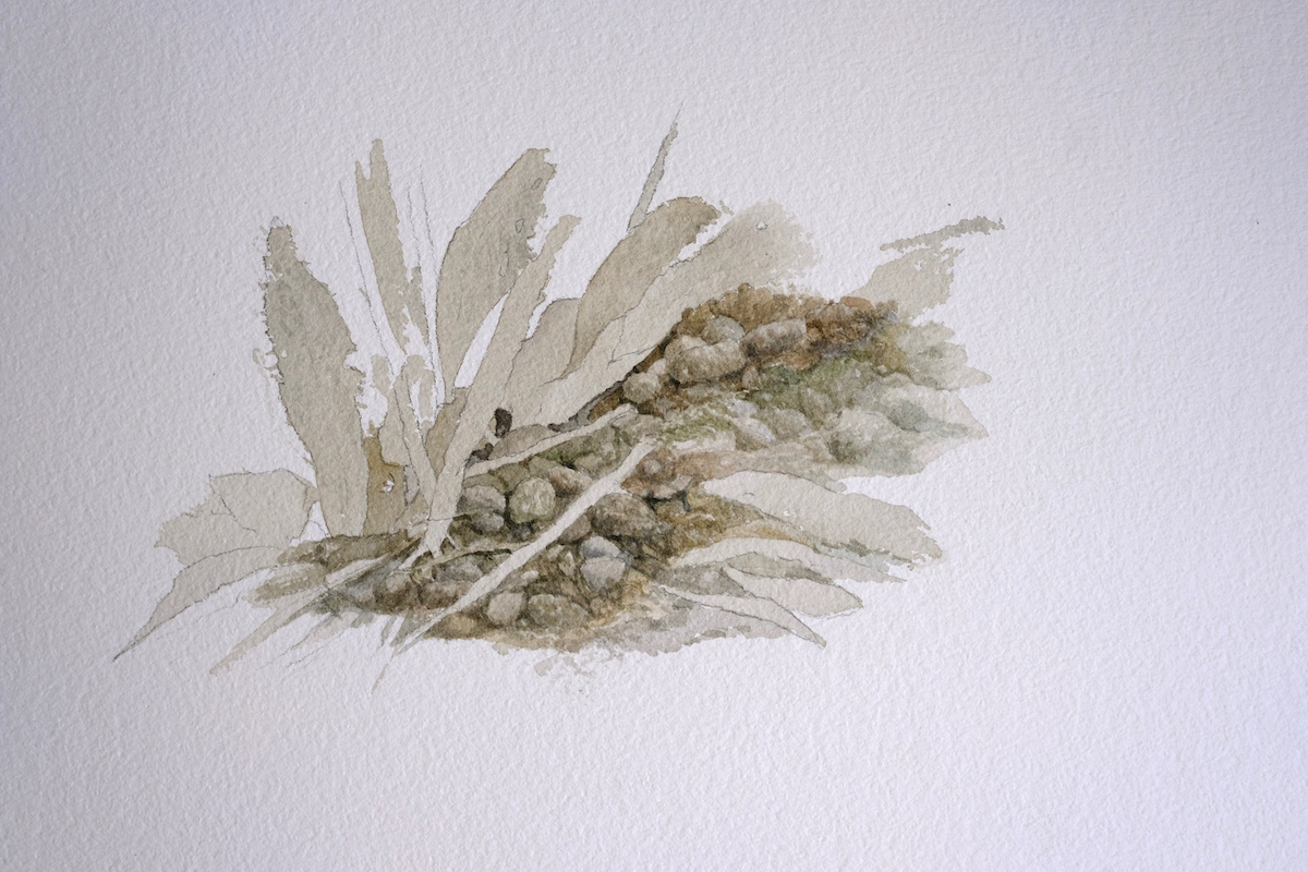 Am Wegesrand, 2018 - Bleistift, Aquarell