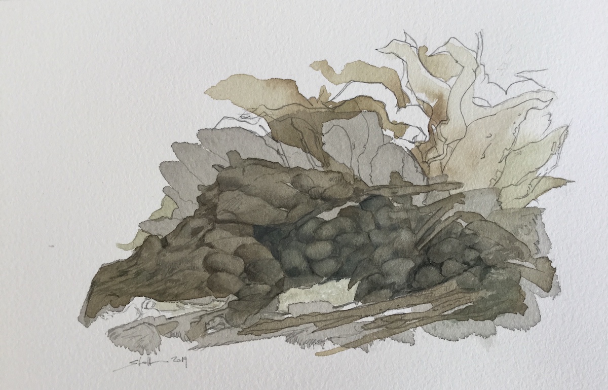 Am Wegesrand III, 2019 - Bleistift, Aquarell