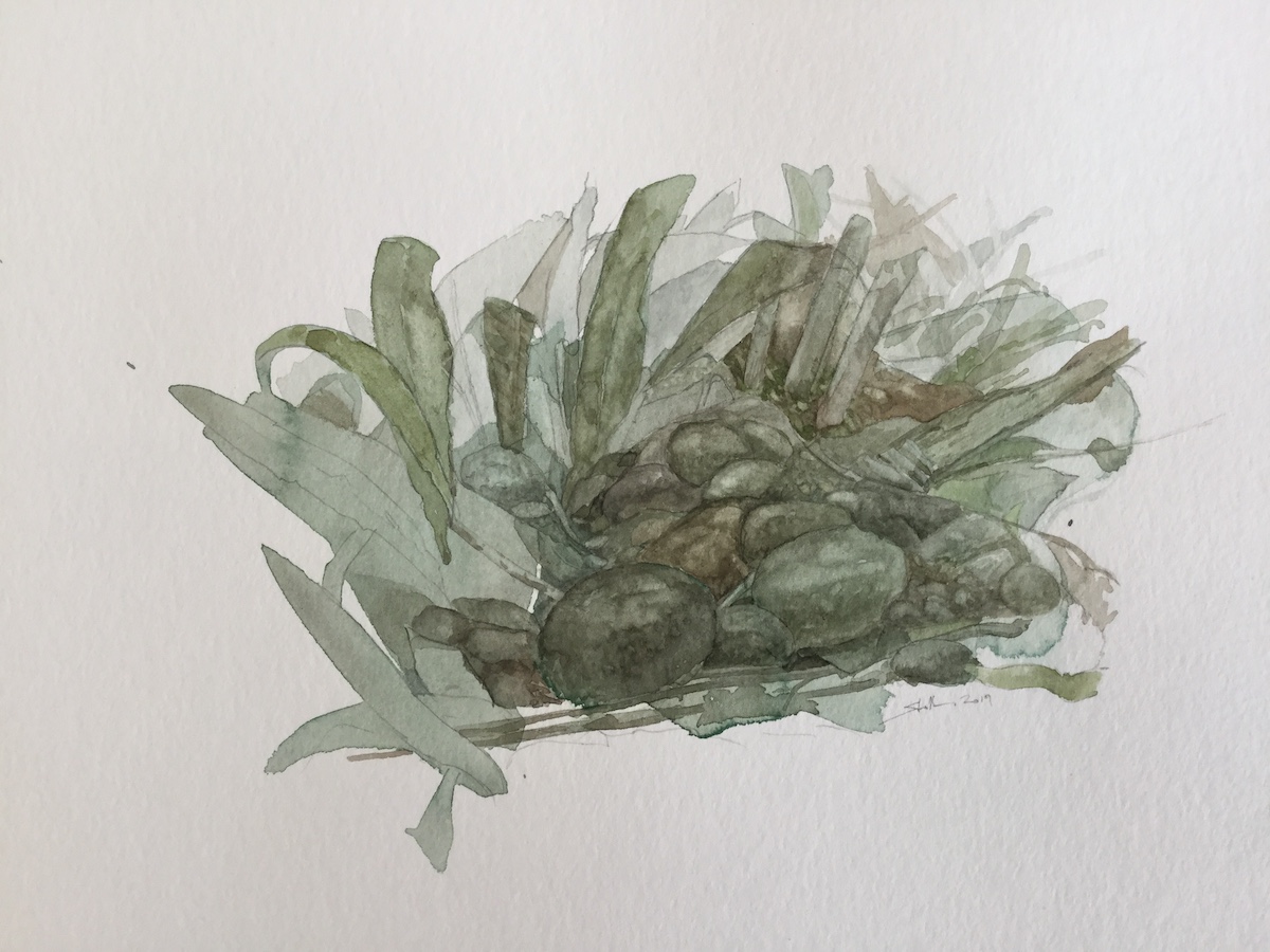 Am Wegesrand, 2019 - Bleistift, Aquarell