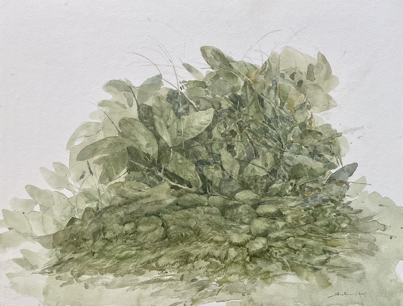 IMG_1070.heic, 2024 - Aquarell