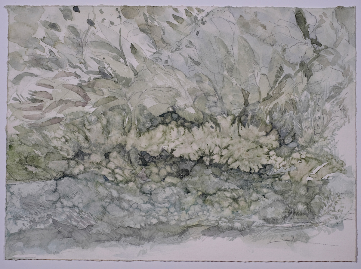 Etwas Salz, 2022 - Bleistift, Aquarell